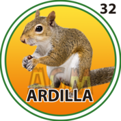 ARDILLA