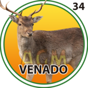 VENADO