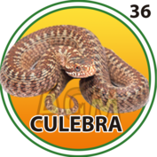 CULEBRA