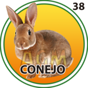 CONEJO