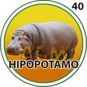 HIPOPOTAMO