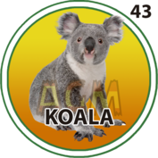 KOALA