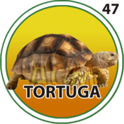 TORTUGA