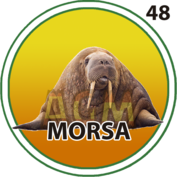 MORSA