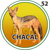 CHACAL