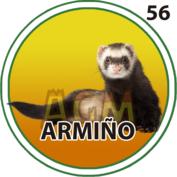 ARMIÑO