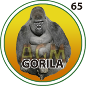 GORILA