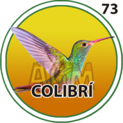 COLIBRI