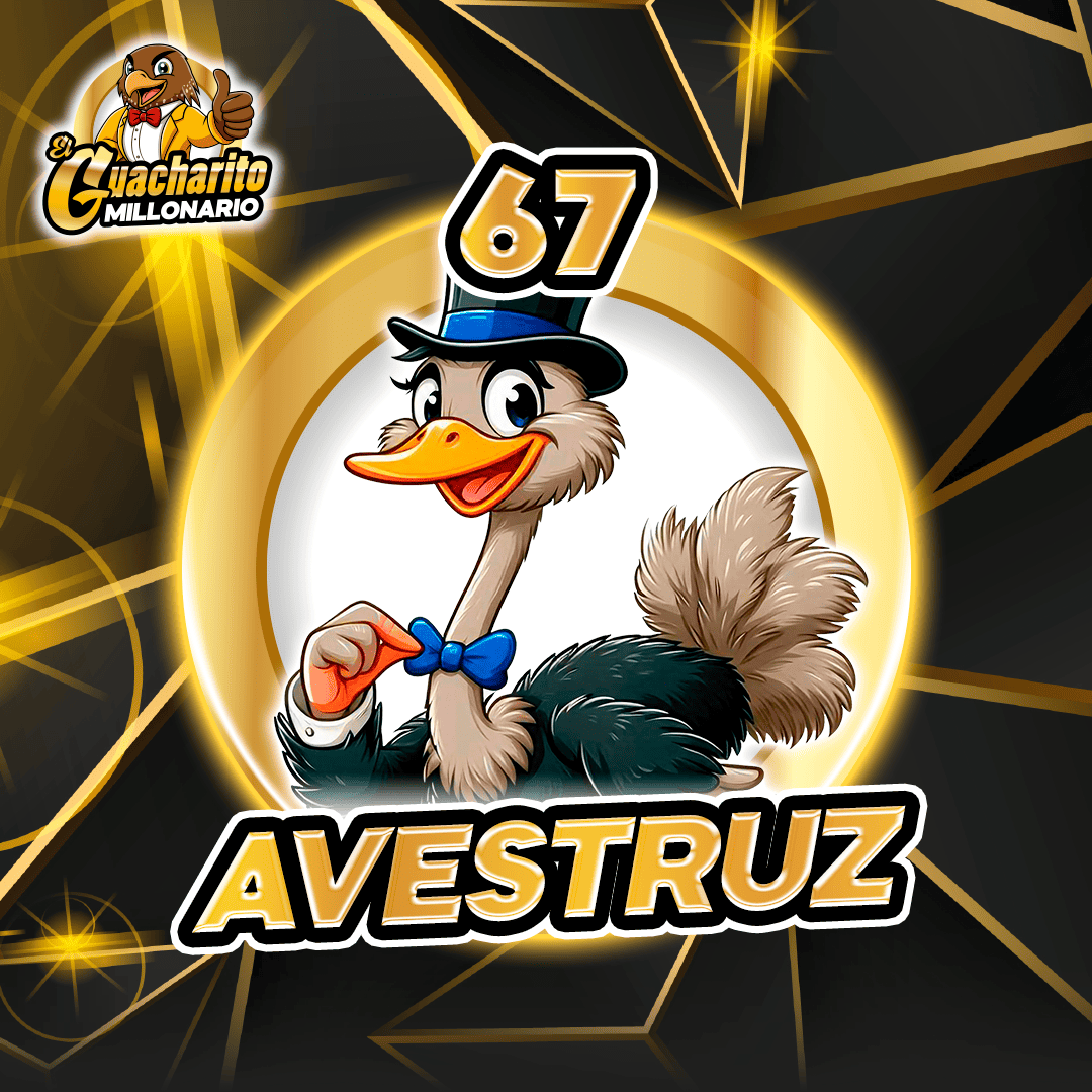 AVESTRUZ