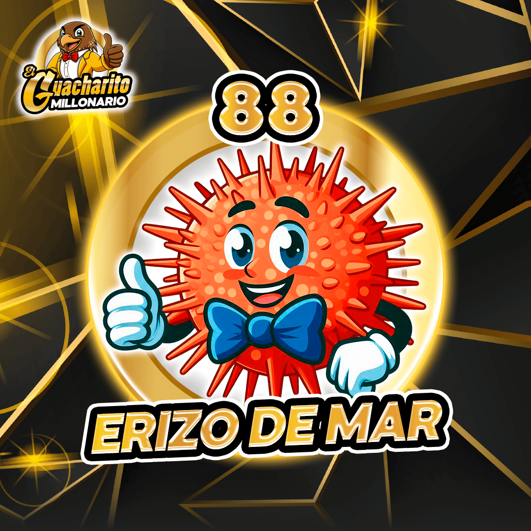 ERIZO DE MAR