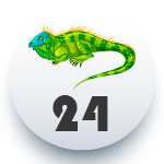 IGUANA