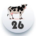 VACA