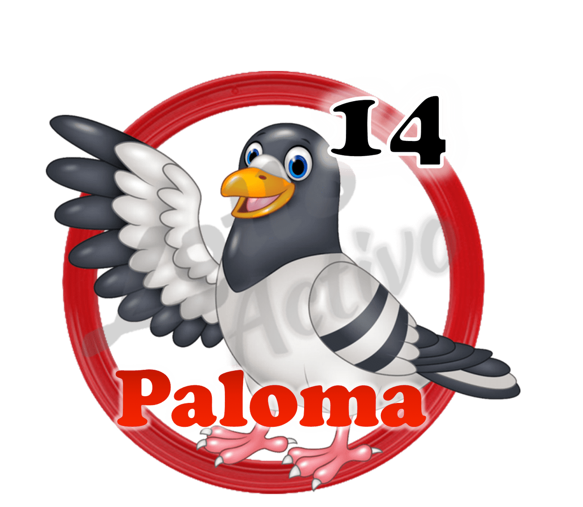 PALOMA