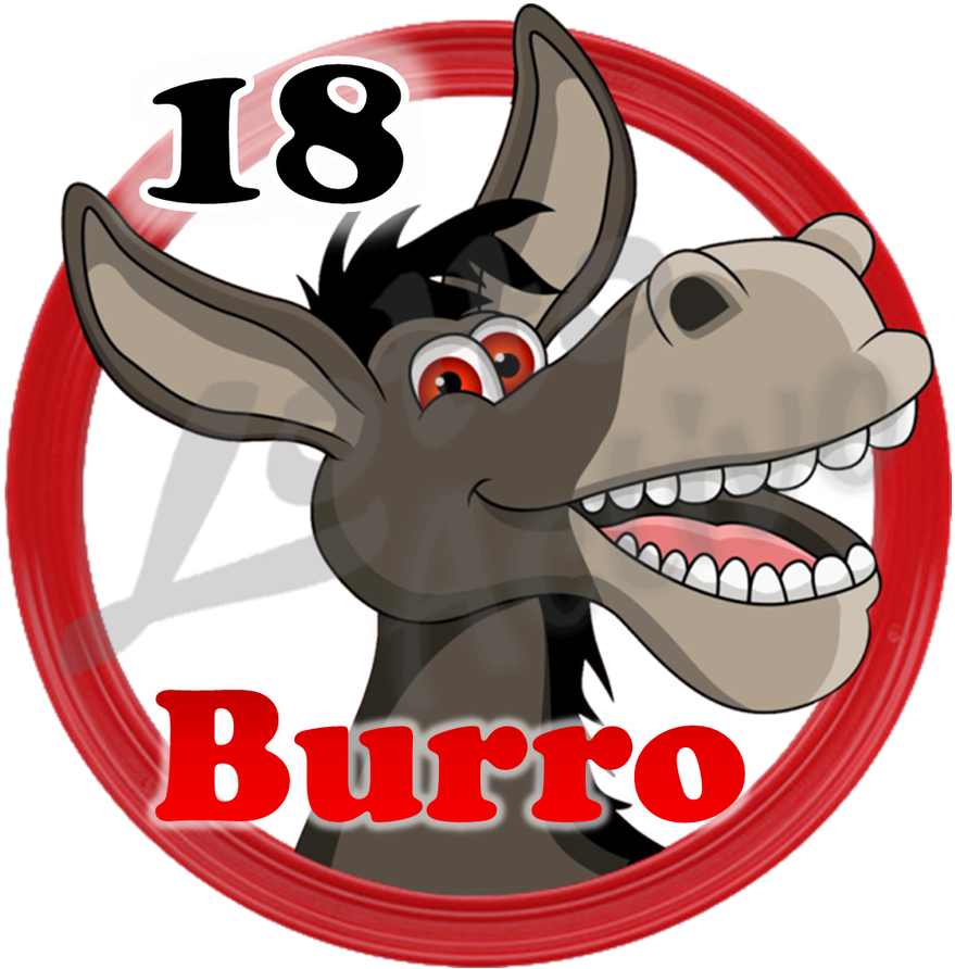 BURRO
