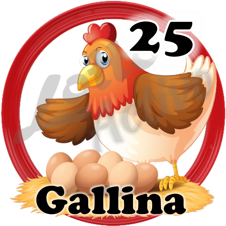 GALLINA
