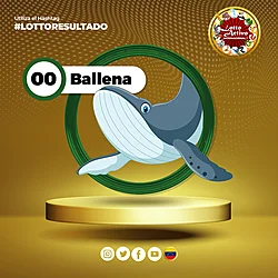 Resultado 00