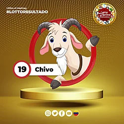CHIVO