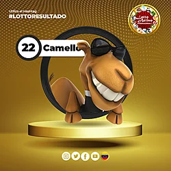 CAMELLO