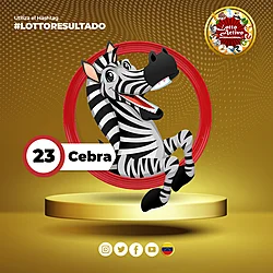 CEBRA