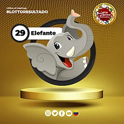 ELEFANTE