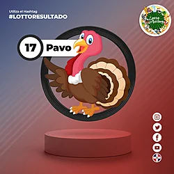 PAVO