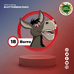 BURRO