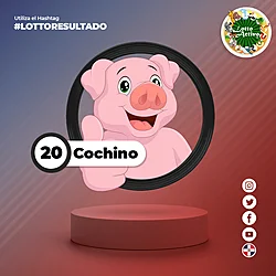 COCHINO