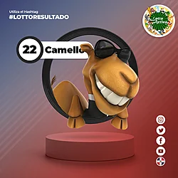 CAMELLO