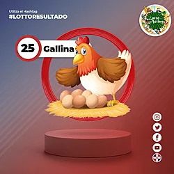 GALLINA
