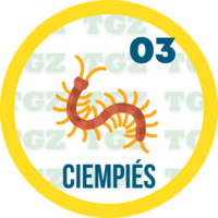 CIEMPIES