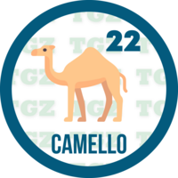 CAMELLO
