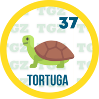 TORTUGA