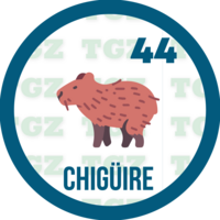 CHIGUIRE