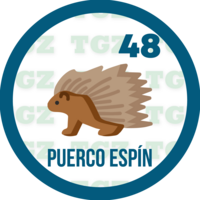 PUERCOESPIN