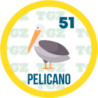 PELICANO