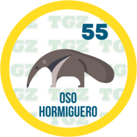 OSO HORMIGUERO