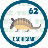 CACHICAMO
