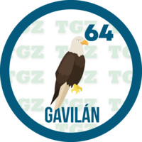 GAVILAN