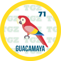 GUACAMAYA