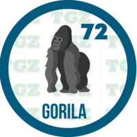 GORILA