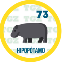 HIPOPOTAMO