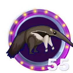 OSO HORMIGUERO