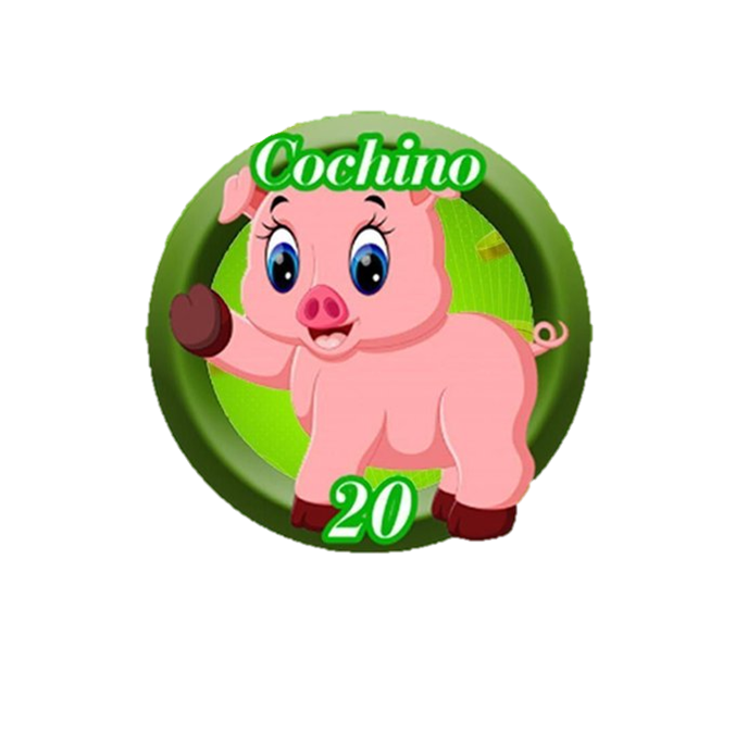 Resultado 20