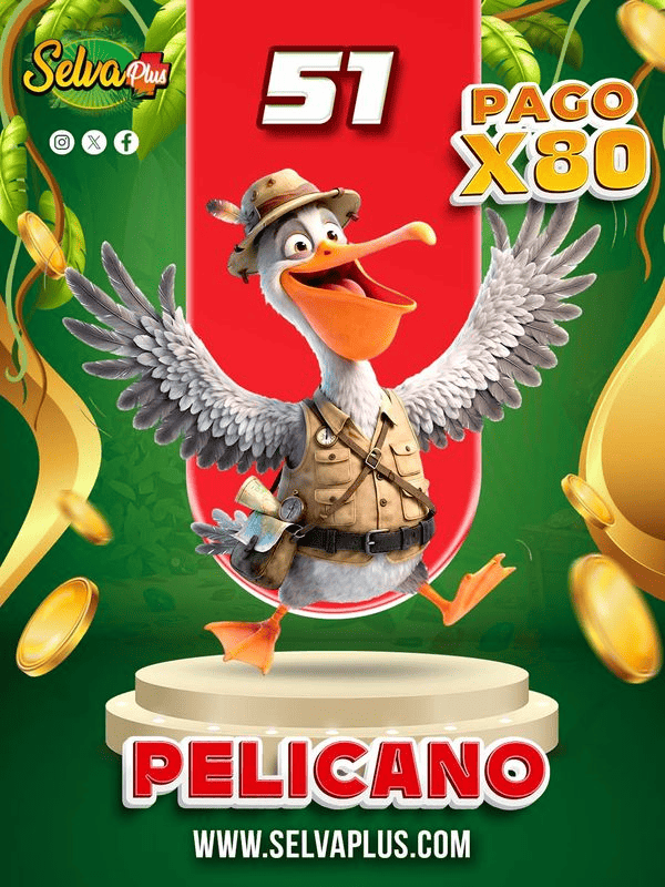 PELICANO