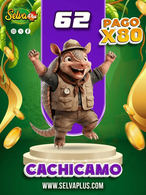 CACHICAMO