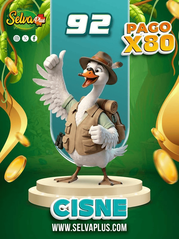 CISNE