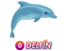 DELFIN