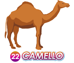 CAMELLO
