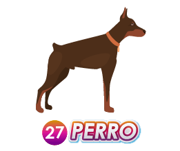PERRO