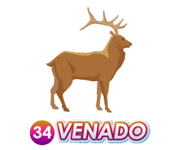 VENADO